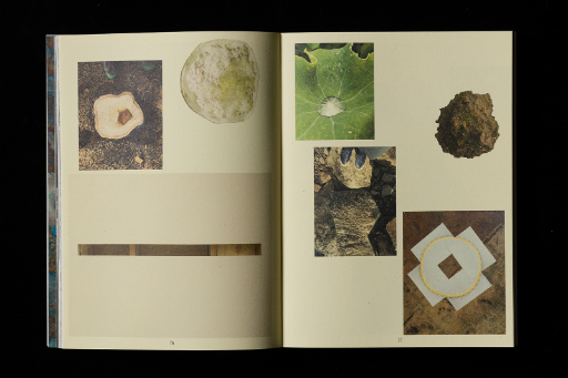 Open magazine on black background with botanical images on cream background