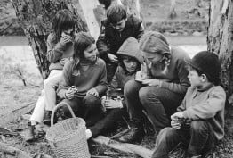 children seated around a tree wearing horseriding gear