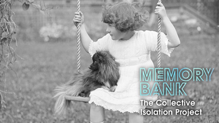 A little girl looks off to the distance as she sits on a swing with her puppy