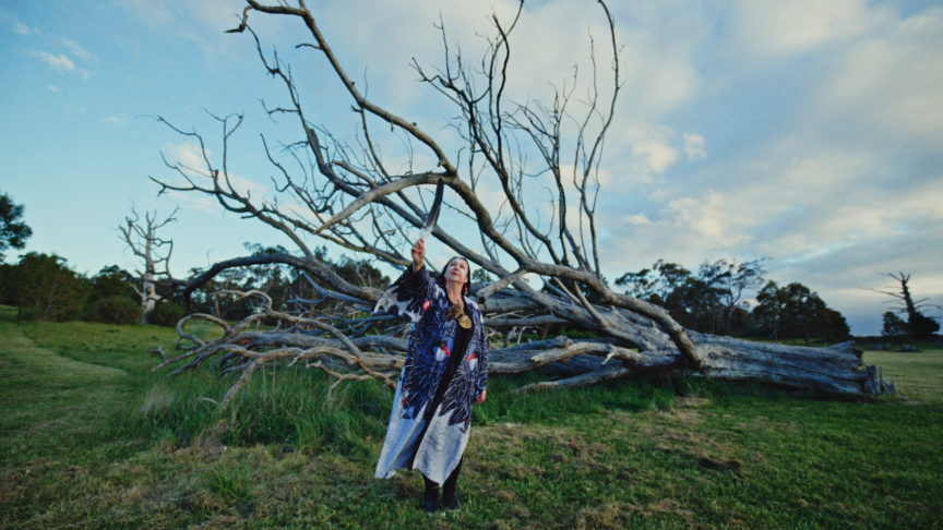 Still from Monograph: Dr Deanne Gilson, showing the artist standing in front of an uprooted tree in a paddock